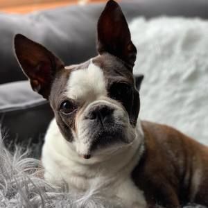 Meet your Posher, Dave